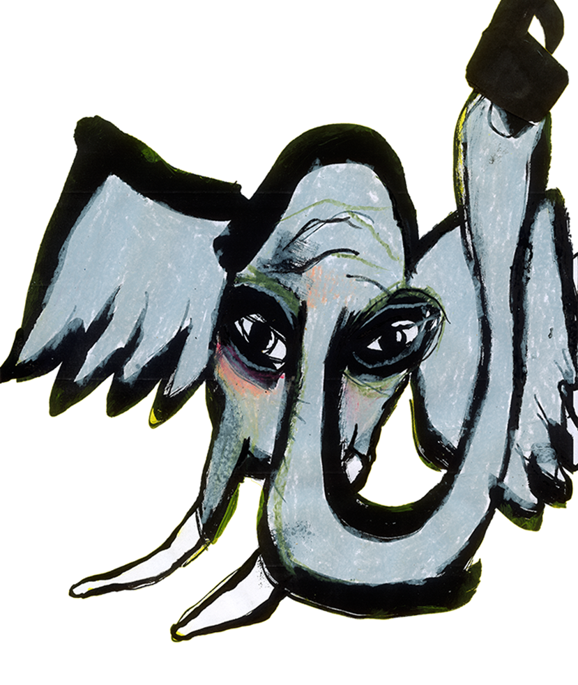 Beeld website Elephant © Sarah Jonker.png